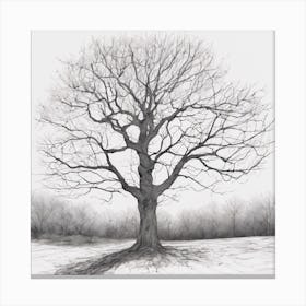 Bare Tree Canvas Print