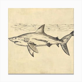 Smallscale Cookiecutter Shark Vintage Illustration 5 Canvas Print