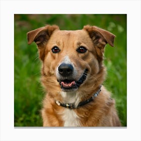 Portrait Of A Dog 5 Canvas Print