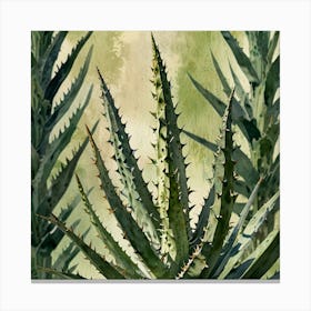 Leonardo Lightning Xl Watercolor Art A White Aloe Plant With G 0 Canvas Print