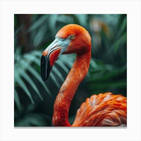 Flamingo 7 Canvas Print