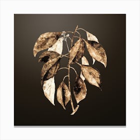 Gold Botanical Camphor Tree on Chocolate Brown Canvas Print