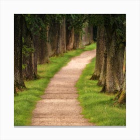 Nature Canvas Print