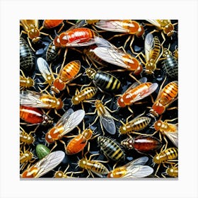Flies Insects Pest Wings Buzzing Annoying Swarming Houseflies Mosquitoes Fruitflies Maggot (9) Canvas Print