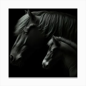 Black Horse And Foal 4 Canvas Print