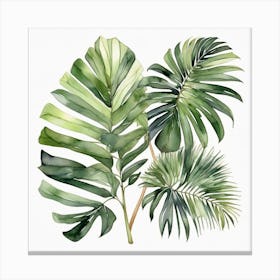 Green fan of palm leaves 7 Canvas Print