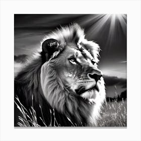 Lion In The Grass 4 Canvas Print
