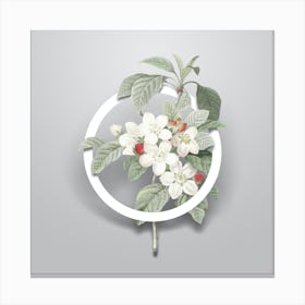 Vintage Apple Blossom Minimalist Flower Geometric Circle on Soft Gray n.0141 Canvas Print