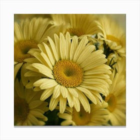 Yellow Daisies Canvas Print