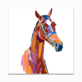 Thoroughbred Horse 02 1 Canvas Print