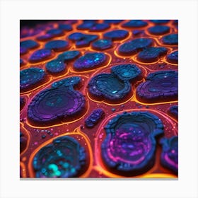 Fractal Fractals Canvas Print