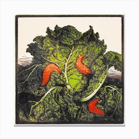 Three Slugs On A Cabbage, Julie De Graag Canvas Print