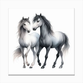 Couple of Horses 1 Canvas Print