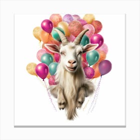 Goat With Balloons Canvas Print