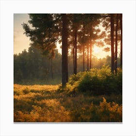 Sunrise In The Forest Canvas Print