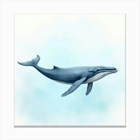 Humpback Whale Canvas Print