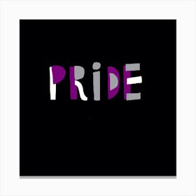Asexual Pride Canvas Print