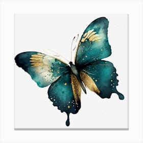 Blue Butterfly Canvas Print