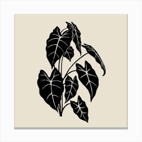 Monochromatic Foliage I Canvas Print