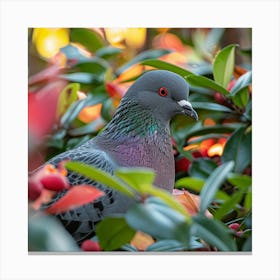 Pigeon 1 Canvas Print