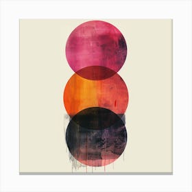 Circles Canvas Print