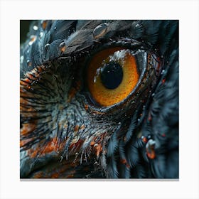 Eagle Eye Canvas Print