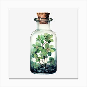 Shamrock In A Bottle Canvas Print