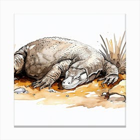 Lizard 1 Canvas Print