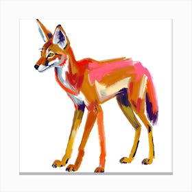 Ethiopian Wolf 03 Canvas Print