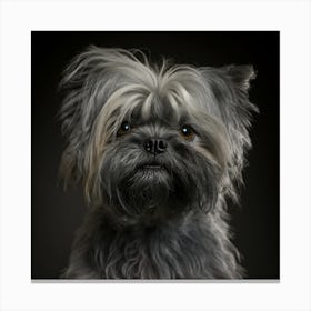 Portrait Of A Dog 16 Canvas Print