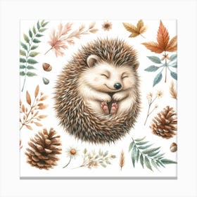 Hedgehog 2 Canvas Print