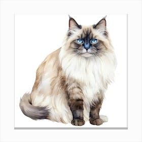 Long Haired Cat Canvas Print