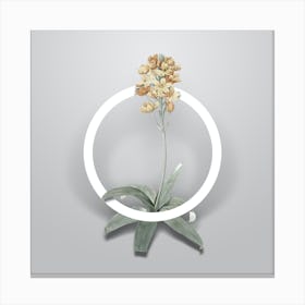 Vintage Sun Star Minimalist Flower Geometric Circle on Soft Gray n.0138 Canvas Print