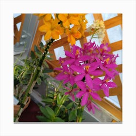 Orchids In A Greenhouse 3 Canvas Print