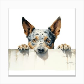 Australian Cattle Dog 5 Canvas Print