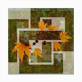 Autumn Leaves 6 Canvas Print