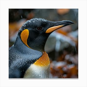 King Penguin 2 Canvas Print