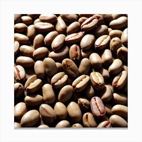 Coffee Beans 254 Canvas Print