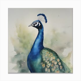 Watercolour Peacock Canvas Print