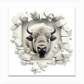 Bison Through A Wall Canvas Print