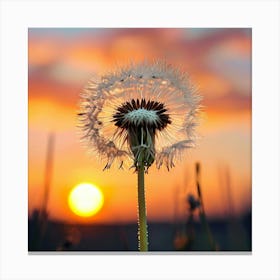 Sunset Dandelion Canvas Print