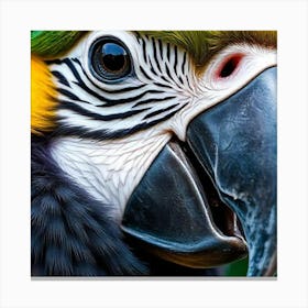 Vivid Gaze: Portrait of a Parrot 1 Canvas Print