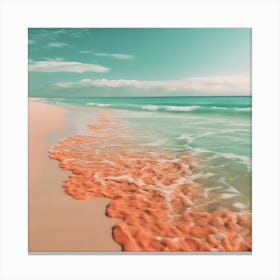 Coral Beach - Coral Stock Videos & Royalty-Free Footage Canvas Print