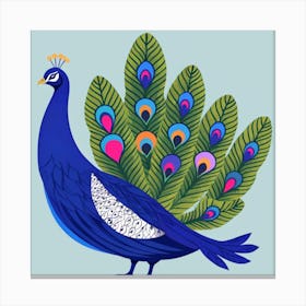 Peacock 12 Canvas Print