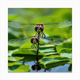 Dragonflies 3 Canvas Print