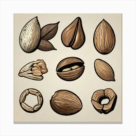 Almonds 5 Canvas Print