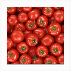 Red Tomatoes 3 Canvas Print