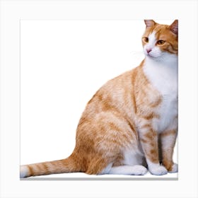 NICE CAT Canvas Print