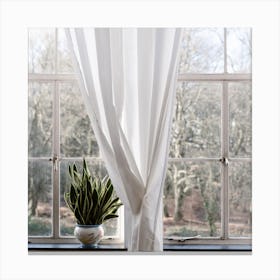The Windows The White Curtans And The Green Square Canvas Print
