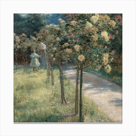 Garden 8 Canvas Print